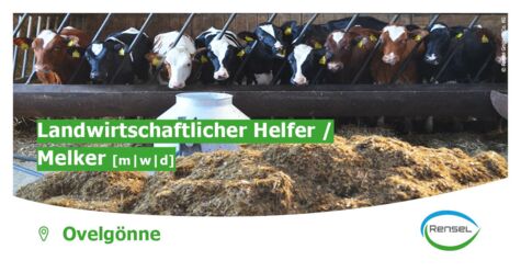 Landwirtschaftlicher Helfer / Melker [m