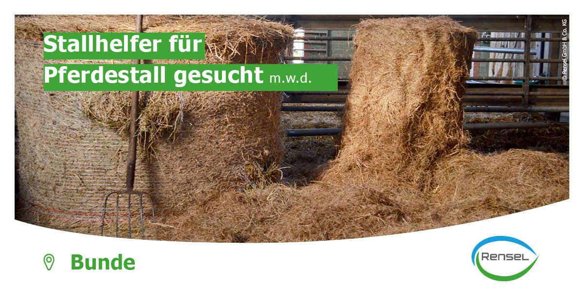 Test in Brandenburg an der Havel